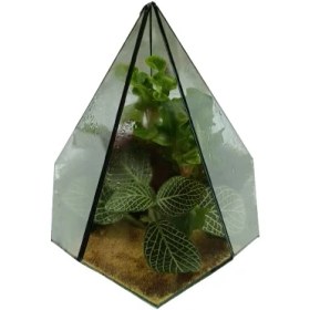 تصویر تراریوم مدل مثلث بلند 