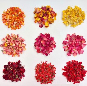 تصویر پک گلبرگ خشک رز چند رنگ - 