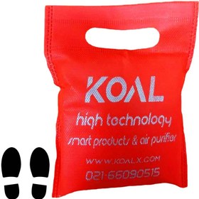 تصویر بوگیر کفش و جاکفشی 