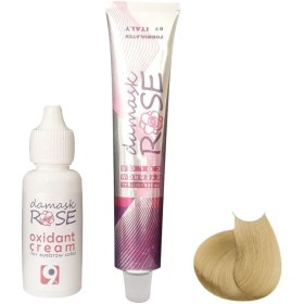 تصویر کیت رنگ ابرو داماسک رز کد N 10 حجم 30 میلی لیتر رنگ بلوند روشن 