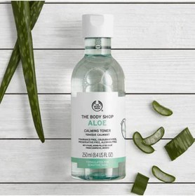 تصویر کرم جوان کننده اورجینال برند The body shop مدل Aloe Tonik 250 ml کد 31677828 