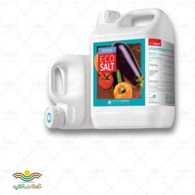 تصویر کود اکوسالت Eco Salt فروچرکو اسپانیا 5 لیتری Eco Salt Fertilizer 5Litr Forough Dasht Company