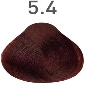 تصویر رنگ مو ویتامول Vitamol سری مسی رنگ قهوه ای مسی روشن شماره 5.4 حجم 120ml Vitamol hair color, copper series, light copper brown, number 5.4, volume 120ml