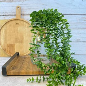 تصویر شمشاد ۱۶خانه 