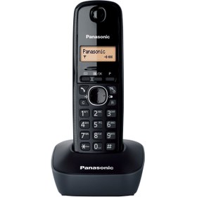 تصویر تلفن بی سیم پاناسونیک مدل KX-TG1611 Panasonic KX-TG1611 Wireless Phone