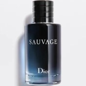 تصویر ادوپرفیوم مردانه کریستین دیور مدل ساواژ Sauvage حجم 100 میلی لیتر - 100 میل ا Dior - Sauvage EDP Dior - Sauvage EDP