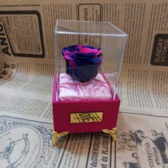 تصویر باکس گل رز جاودان پایه مخمل 