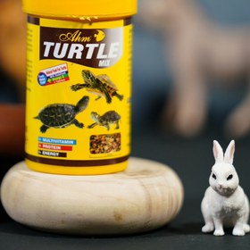 تصویر غذای میکس لاکپشت 