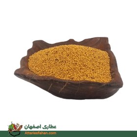 تصویر دانه خردل زرد 