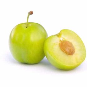 تصویر گوجه سبز Green Plum