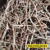 تصویر علف هفت بند(50 گرم) ـ عطار گلابتون Pig-grass