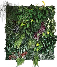 تصویر دیوار سبز هوشمند نیل | 24 گلدان 