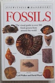 تصویر Fossils فسیل ها ( رنگی گلاسه ) 