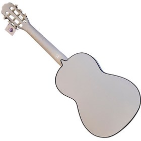 تصویر گیتار دیاموند Diamond guitar