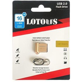 تصویر فلش LOTOUS L809-16GB 