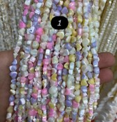 تصویر صدف طبیعی طرحدار 