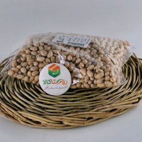 تصویر سویا آجیلی 