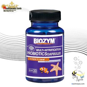 تصویر کپسول باکتری و پروبیوتیک آکواریوم های آب شور BC401 بایوزیم Biozym Marine Fish Staple Diet 215g