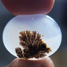 تصویر عقیق شجر قائن 