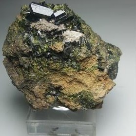 تصویر اپیدوت روی بستر 