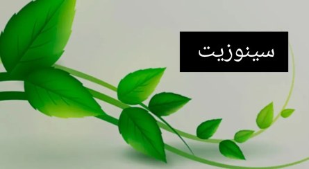 تصویر روغن معجزه هلیکسیر شفابخش 