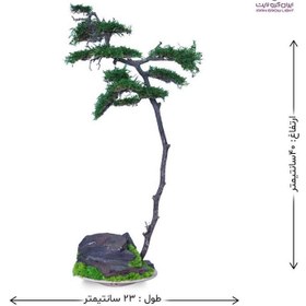 تصویر بونسای بانجین 