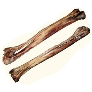 تصویر فروشگاه پت شاپ هارمونی