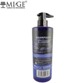 تصویر شامپو بلوبری میگه ۷۸۰‌میل Mige MIGE Hair Care Blueberry Shampoo-780ml