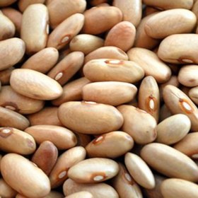 تصویر بذر لوبیا رشتی (کشاورزی) 20 عددی 