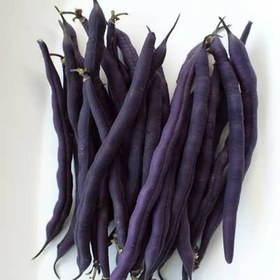 تصویر لوبیا بنفش آمتیست 