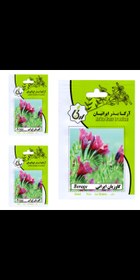 تصویر گل گاوزبان - گرم 