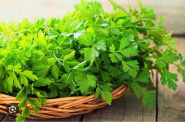 تصویر سبزی جعفری - نيم كيلويي Jafri