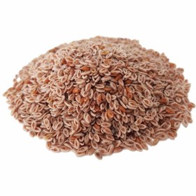 تصویر اسفرزه(100گرمی) 