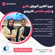 تصویر دوره آموزش آنلاین اکتیو و ترکیب شناسی کاربردی 