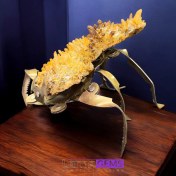 تصویر کلاستر کوارتز کلکسیونی با پایه عنکبوت 