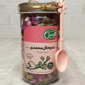 تصویر غنچه گل محمدی گل‌جیل 