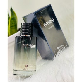 تصویر ادوپرفیوم مردانه Savagio حجم 100 Bailando Savagio Eau De Parfum For Men 100ml