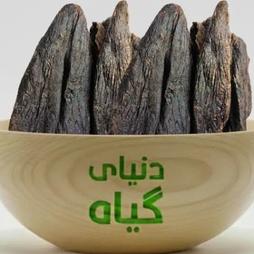 تصویر جند بیدستر 