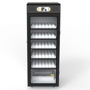 تصویر دستگاه جوجه کشی 250 عددی داتیکس 10 