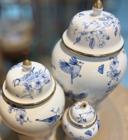 تصویر ست جینجر جار پرستو آبی 