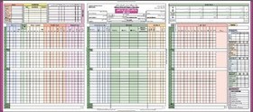 تصویر ورک شیت(WORK SHEET) ثبت اقدامات پرستاری در ICU (+ فایل باکیفیت ویژه چاپخانه) به اضافه دستورالعمل ثبت و نکات مربوطه 