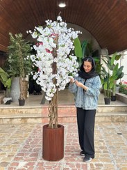 تصویر درختچه مصنوعی شکوفه سفید ارتفاع 2متر 