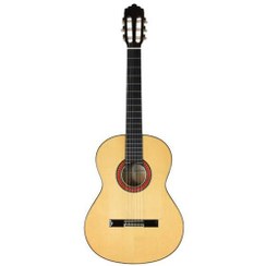 تصویر گیتار آلتامیرا مدل Altamira N300F 