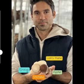 تصویر قارچ خشک شیتاکه 200 گرمی 