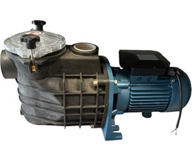 تصویر پمپ 2 اسب استخری دیانا مدل DN-1500/FP Pool Filtration Pump