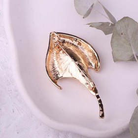 تصویر سنجاق سینه شیپوری 