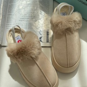 تصویر آگ خزدار پشت کش ۱۱۵۸۳ 