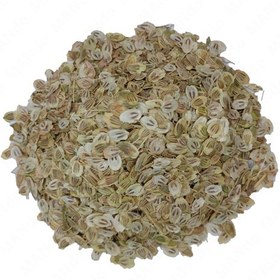 تصویر گلپر اردبیلی درشت کد 102 