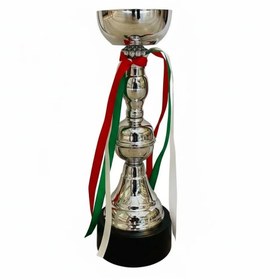 تصویر کاپ قهرمانی کد IR021 تکی 