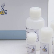 تصویر کیت استخراج DNA از ژلاتین- ۲۵ تست/Gelatin DNA extraction Kit 